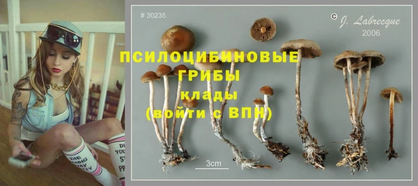 ПСИЛОЦИБИНОВЫЕ ГРИБЫ Алзамай