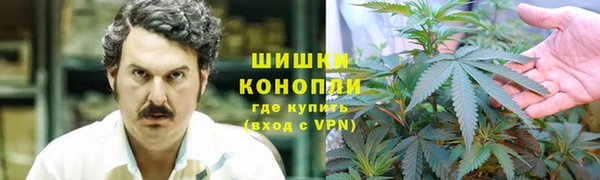 ПСИЛОЦИБИНОВЫЕ ГРИБЫ Алзамай