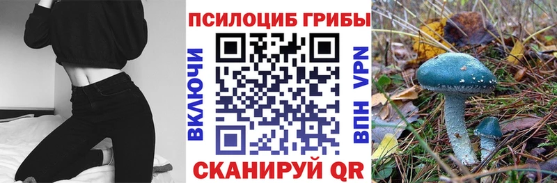 блэк спрут tor  закладки  Асбест  Псилоцибиновые грибы MAGIC MUSHROOMS 